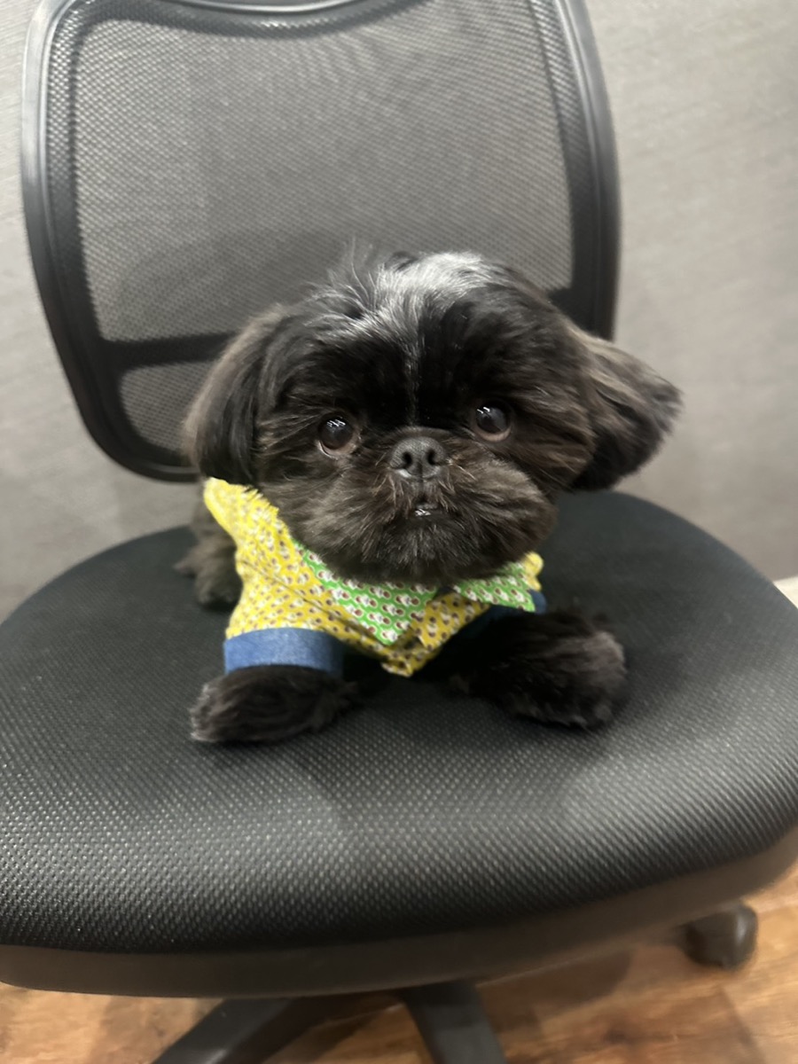 協会認定講座 生徒作品1