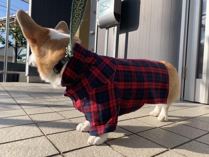 協会認定講座 生徒作品5