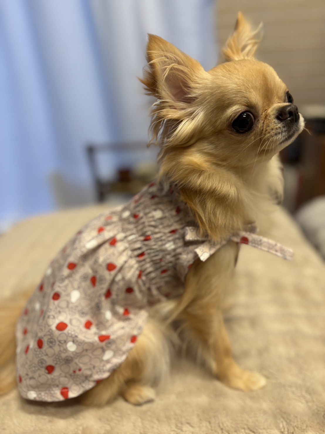 協会認定講座 生徒作品8