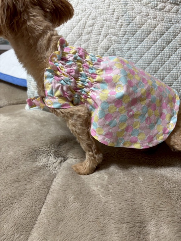 協会認定講座 生徒作品9