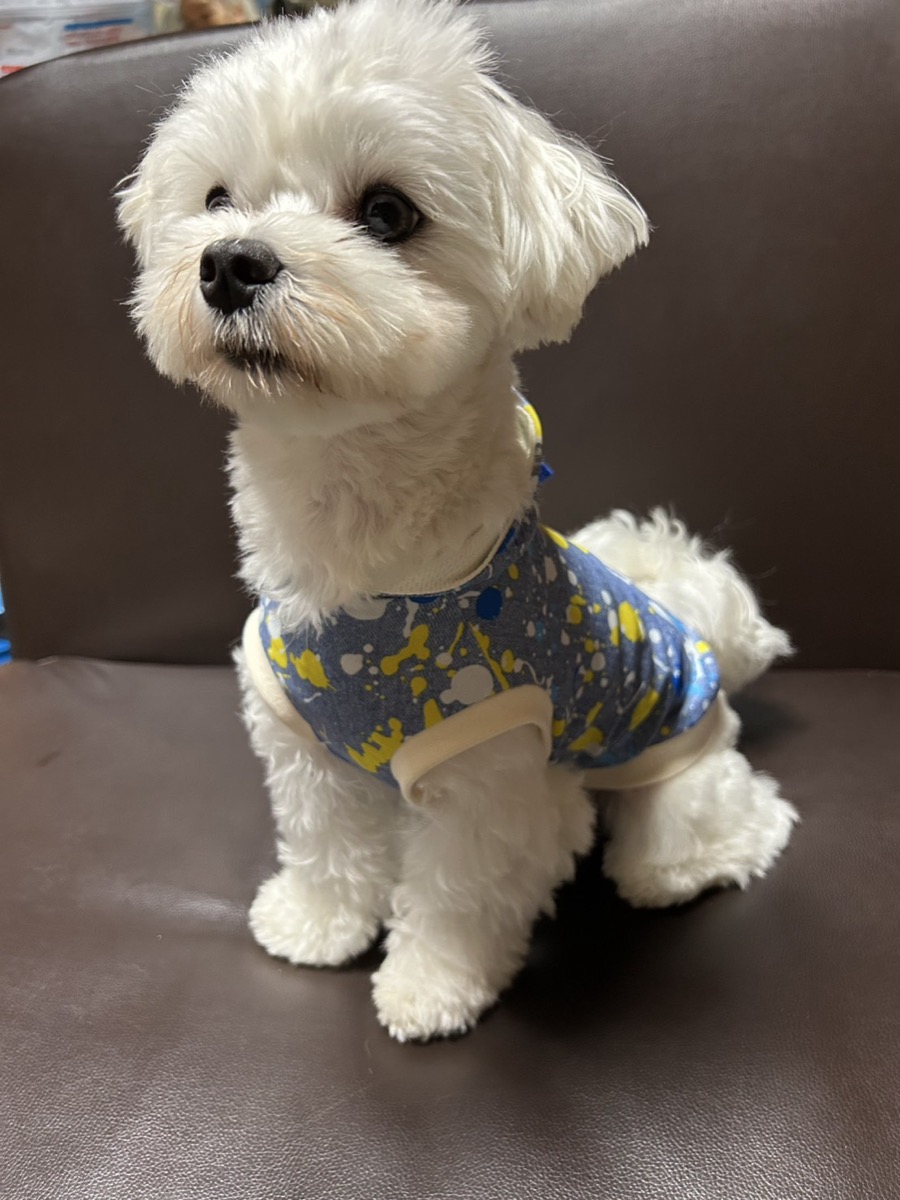 協会認定講座 生徒作品22