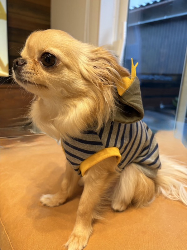 協会認定講座 生徒作品26