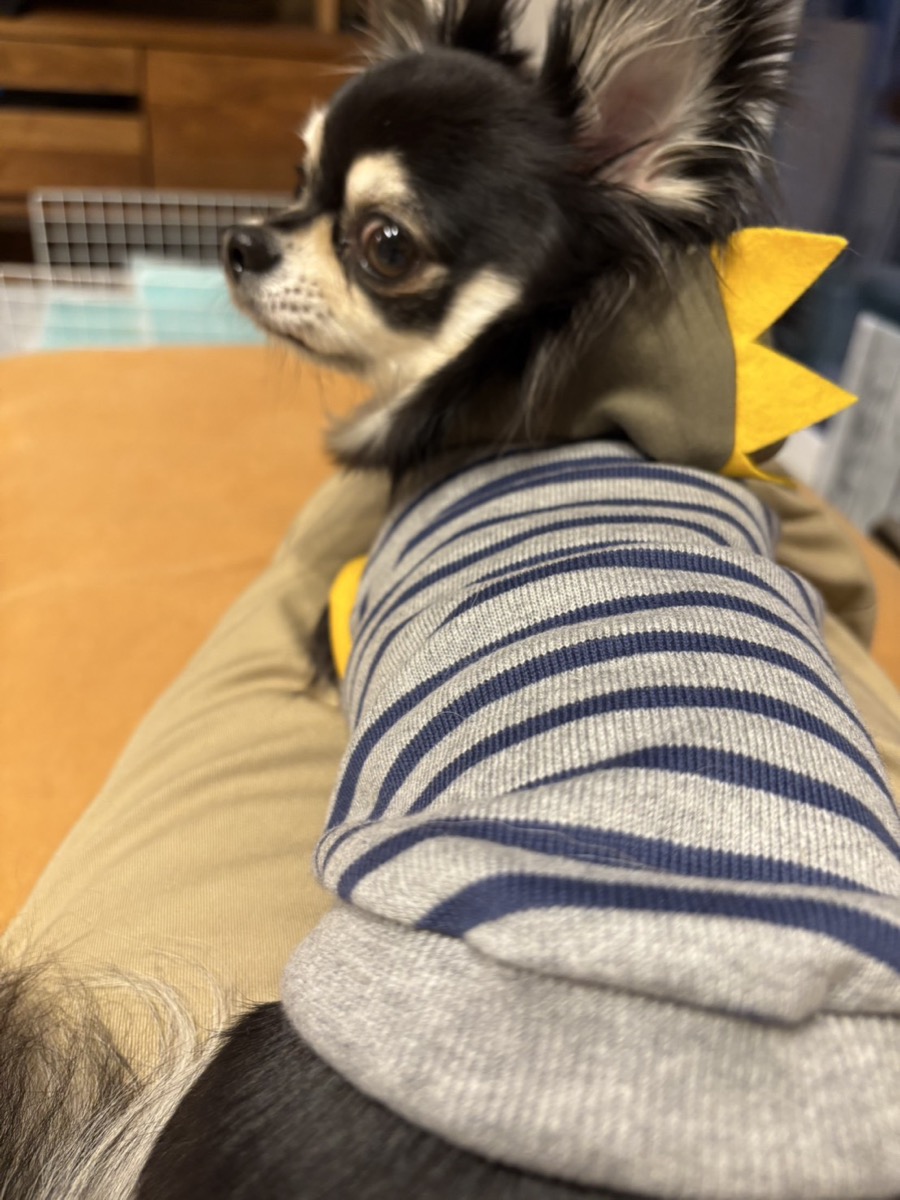 協会認定講座 生徒作品27