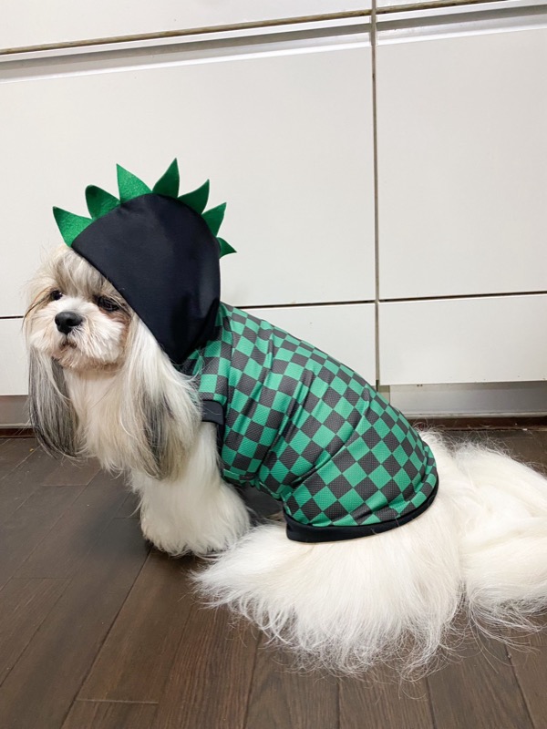 協会認定講座 生徒作品31