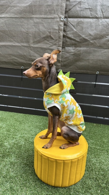 協会認定講座 生徒作品32