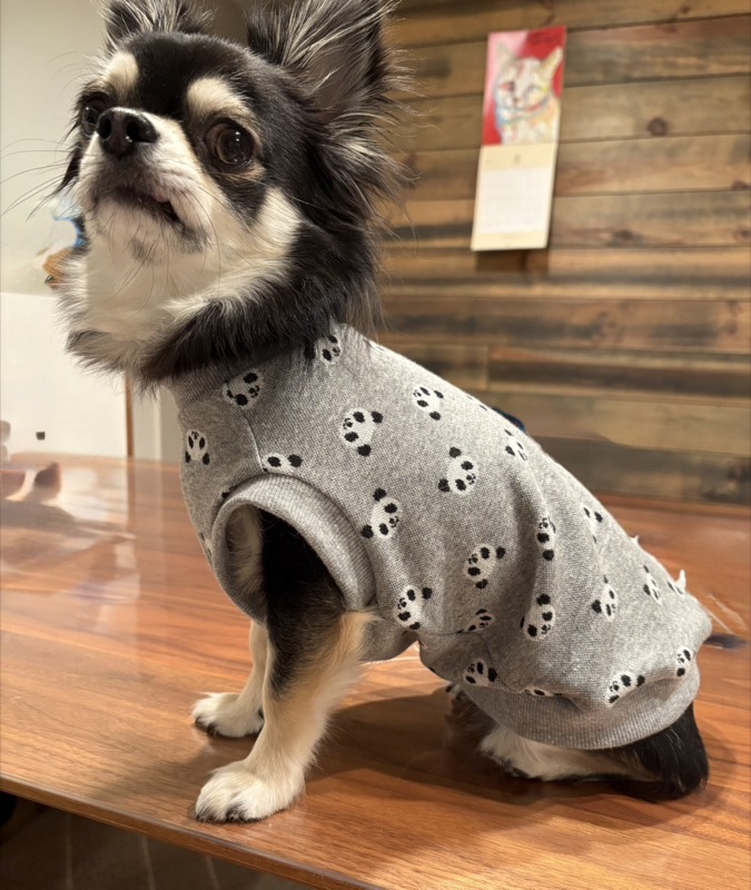 協会認定講座 生徒作品34