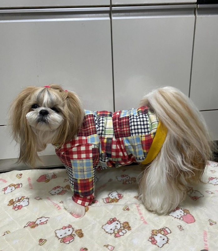 協会認定講座 生徒作品35