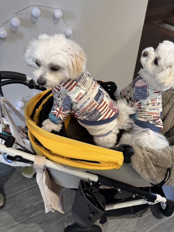 協会認定講座 生徒作品38