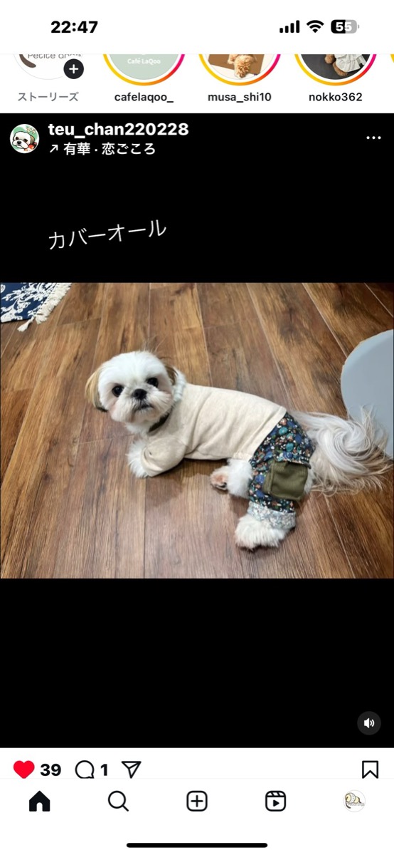 協会認定講座 生徒作品39