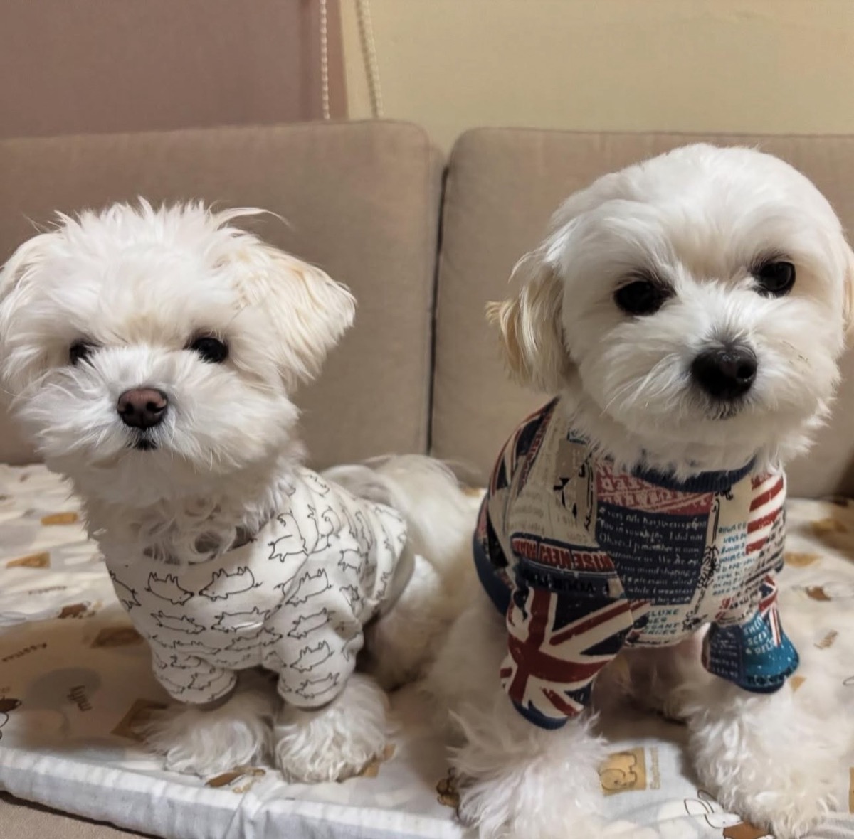 協会認定講座 生徒作品41