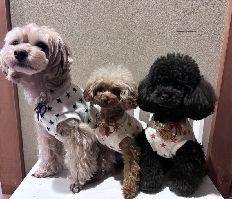 協会認定講座 生徒作品46