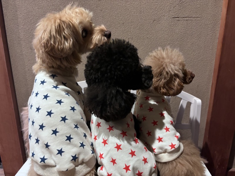 協会認定講座 生徒作品47