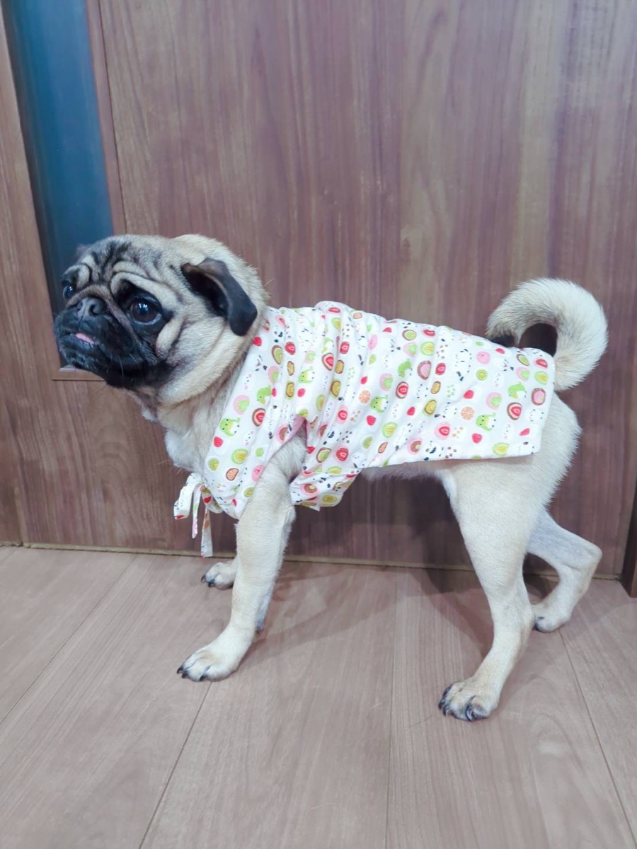 協会認定講座 生徒作品48