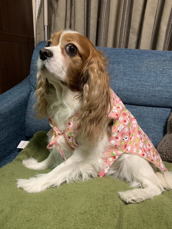 協会認定講座 生徒作品49