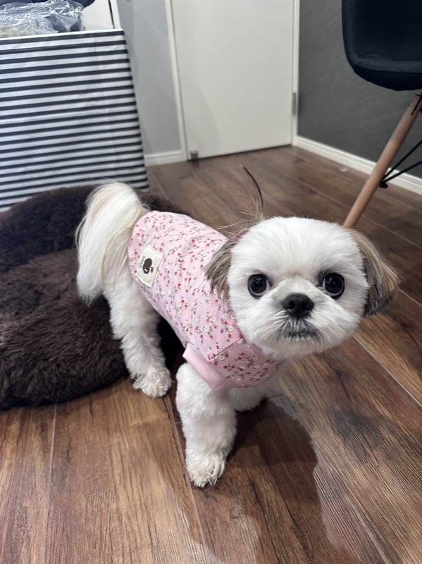 協会認定講座 生徒作品50