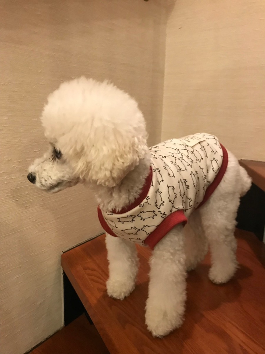 協会認定講座 生徒作品56