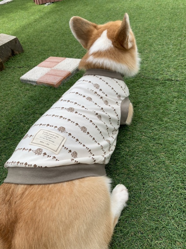 協会認定講座 生徒作品57