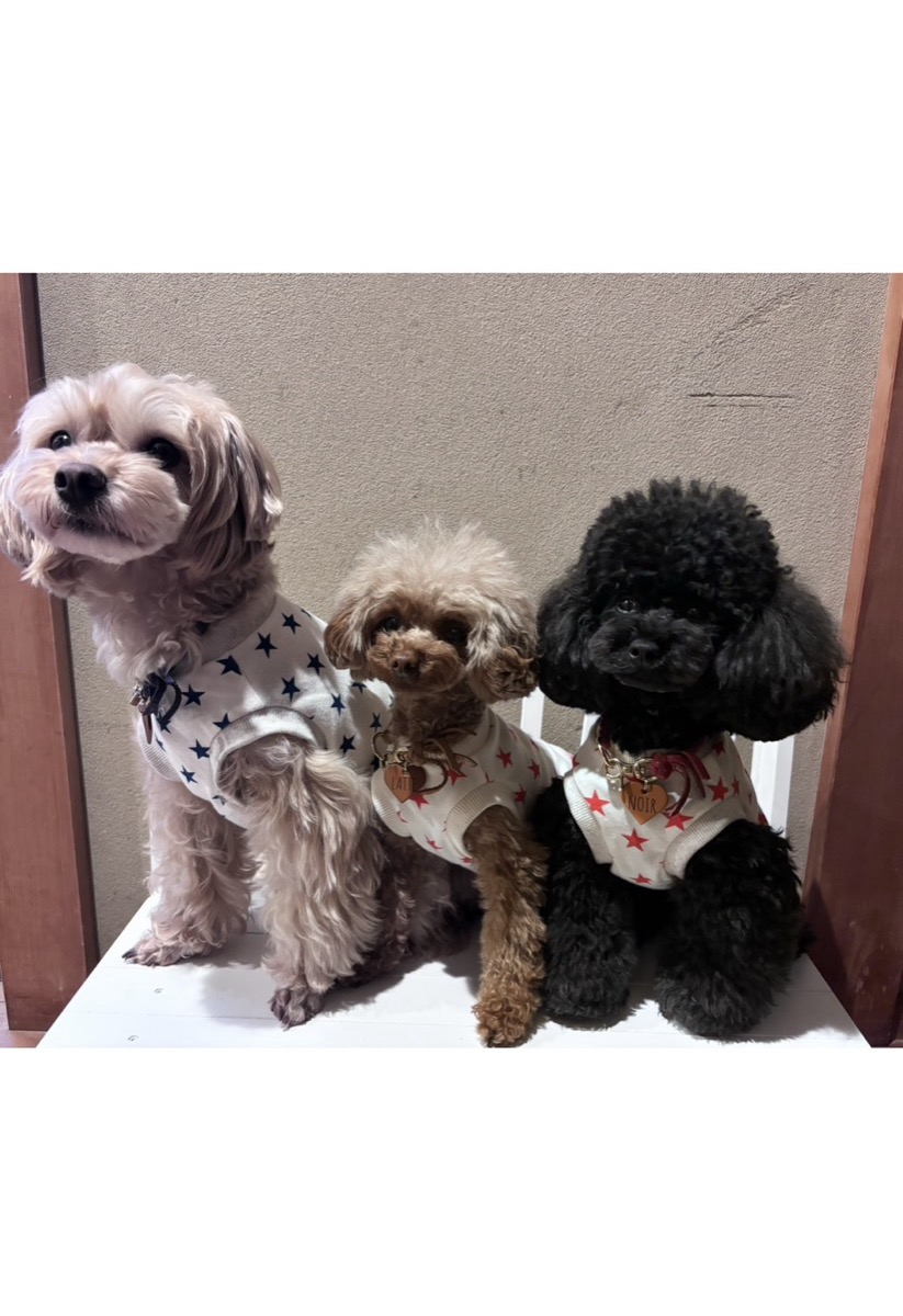 協会認定講座 生徒作品61