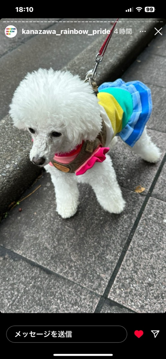 協会認定講座 生徒作品59