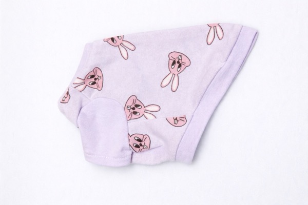 入門講座 犬服Tシャツの完成作品