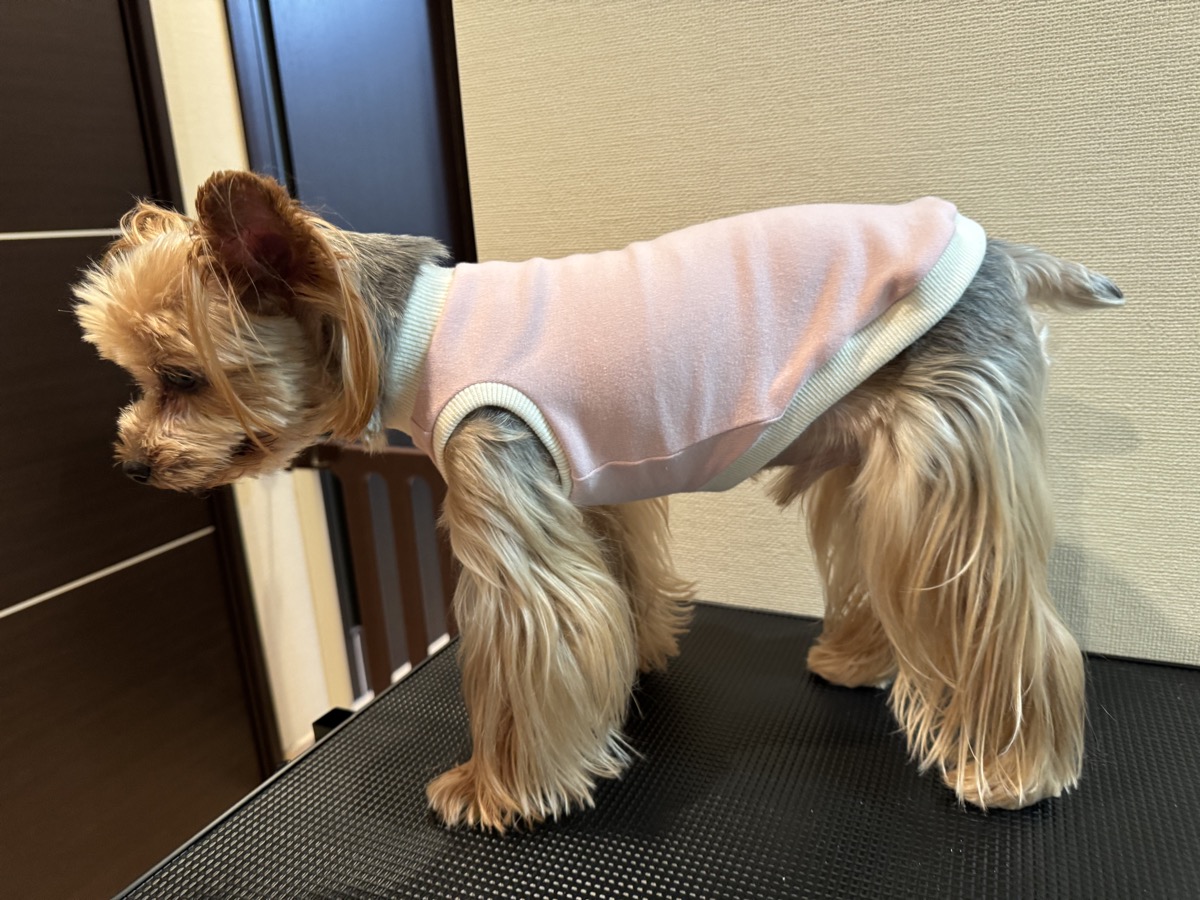 犬服 袖なしタンクトップの完成作品