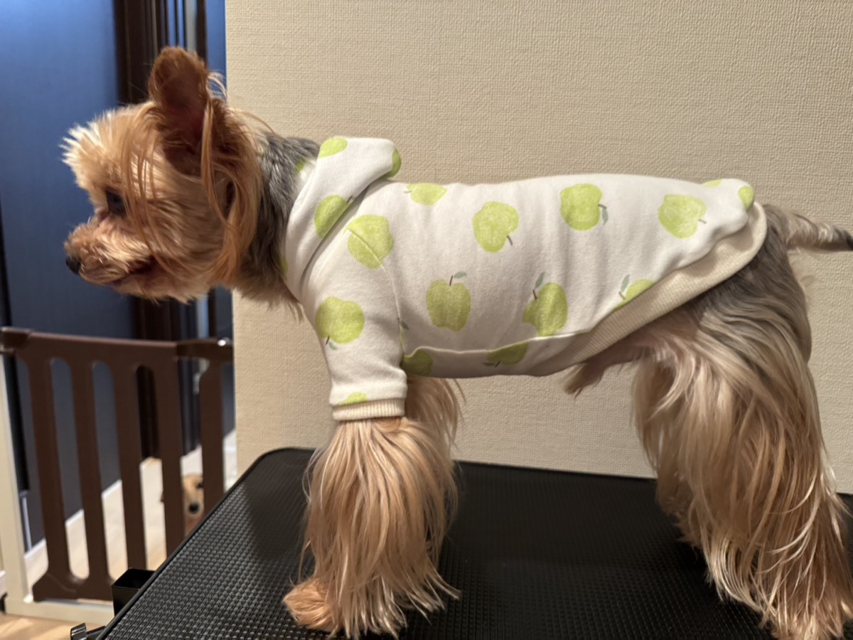 犬服 ラグラン袖の完成作品