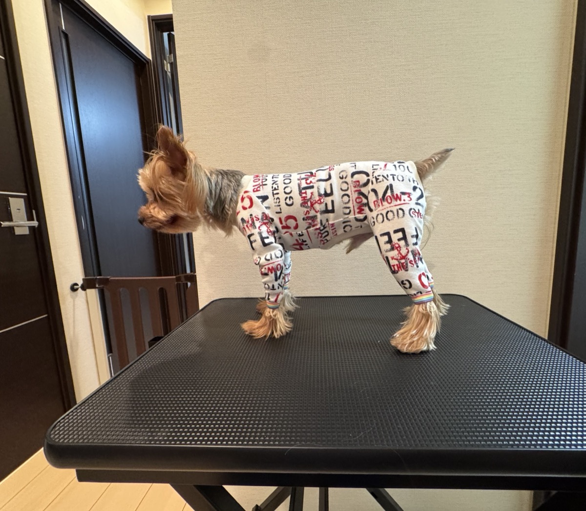 犬服 ロンパースの完成作品