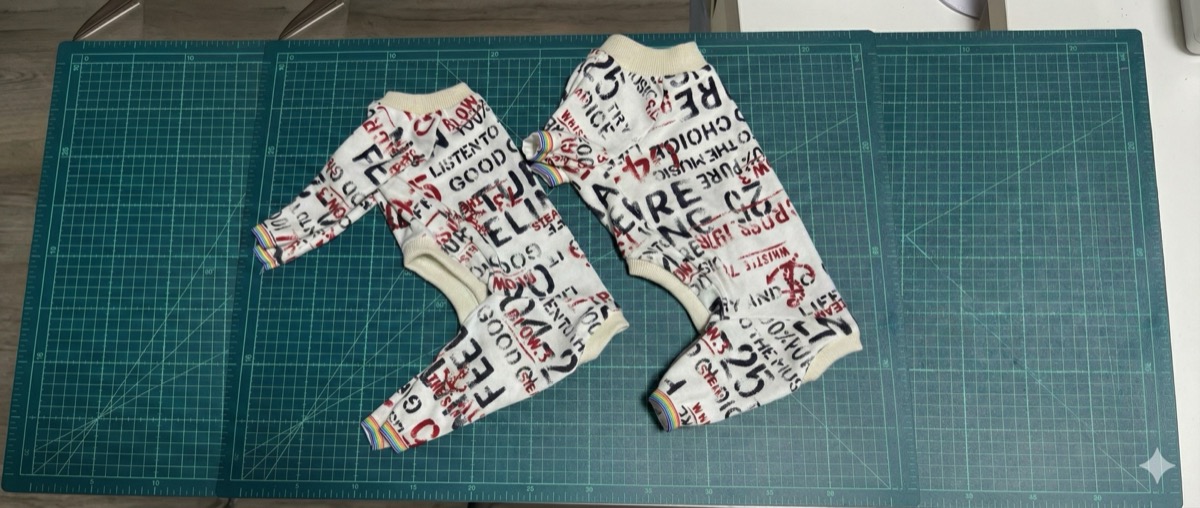 犬服教室のレッスンで生徒が犬服を制作している様子